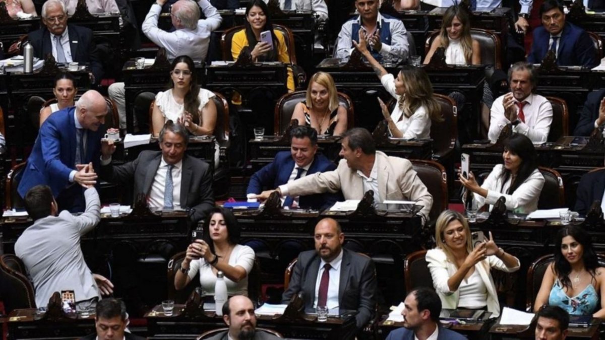 Diputados retoma el debate en particular por la Ley Ómnibus