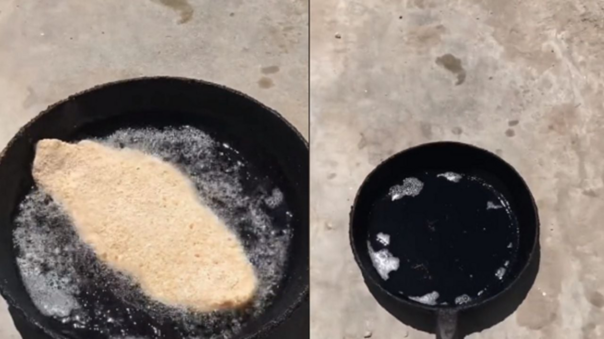 Ola de calor: cocinó una milanesa con el sol y se volvió viral