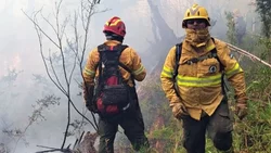 Brazo Tristeza: un asado gourmet y el inicio del fuego