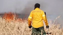 Incendio en Brazo Tristeza: neuquinos se suman al combate