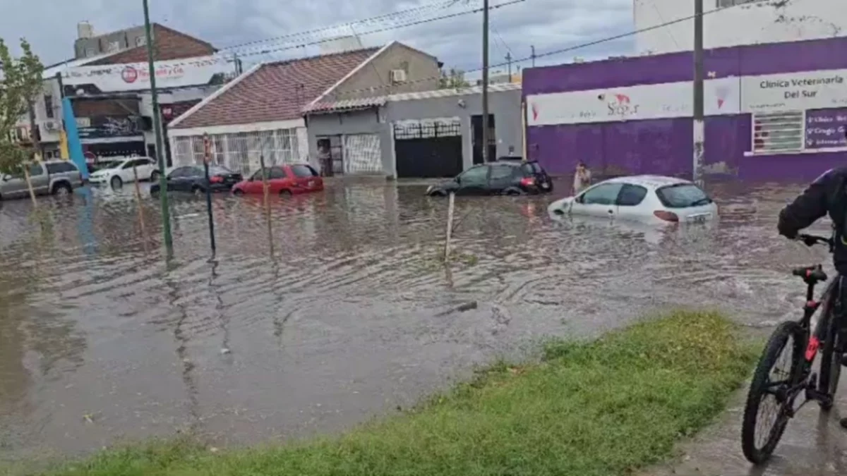 Neuquén bajo agua: calles intransitables y entradas inundadas