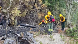 Brazo Tristeza: Comenzó el peritaje en la zona incendiada