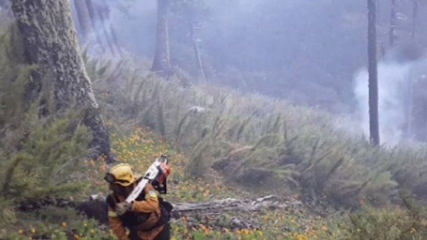Informe actualizado: Cómo están los incendios en el Lanín