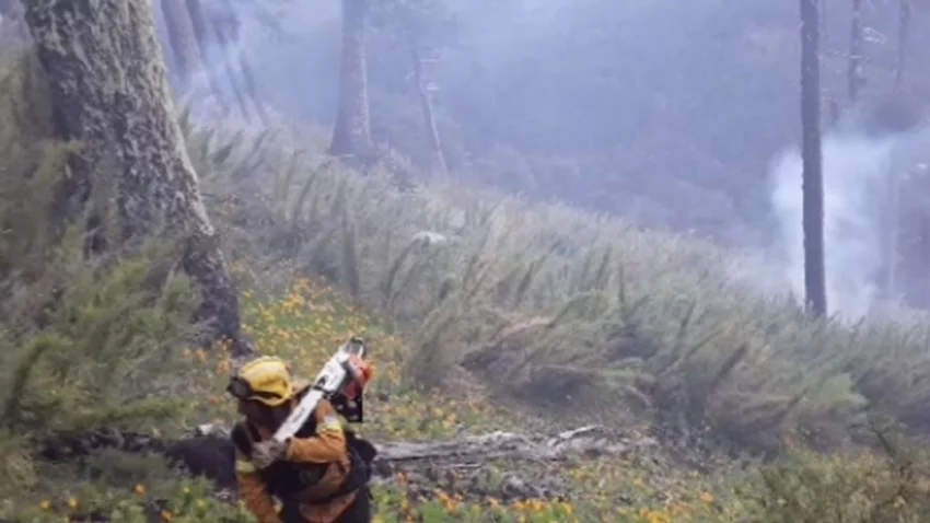 Informe actualizado: Cómo están los incendios en el Lanín