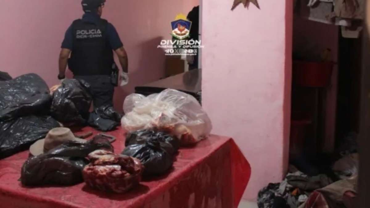 Robaba vacas, lo allanaron: tenía 141 kilos de carne