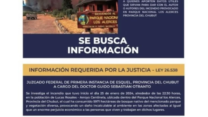Incendio en Los Alerces: ofrecen 5 millones de recompensa