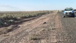 Encuentran muerto adentro de un auto e investigan un crimen
