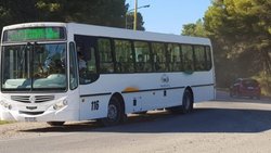 Centenario se quedó sin servicio de transporte urbano por los recortes de Nación