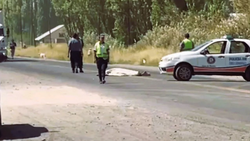 Un hombre murió arrollado por un camión en la Ruta 22