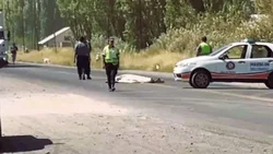 Un hombre murió arrollado por un camión en la Ruta 22