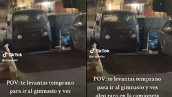 TikTok: vio un "fantasma" en un auto y su reacción fue viral