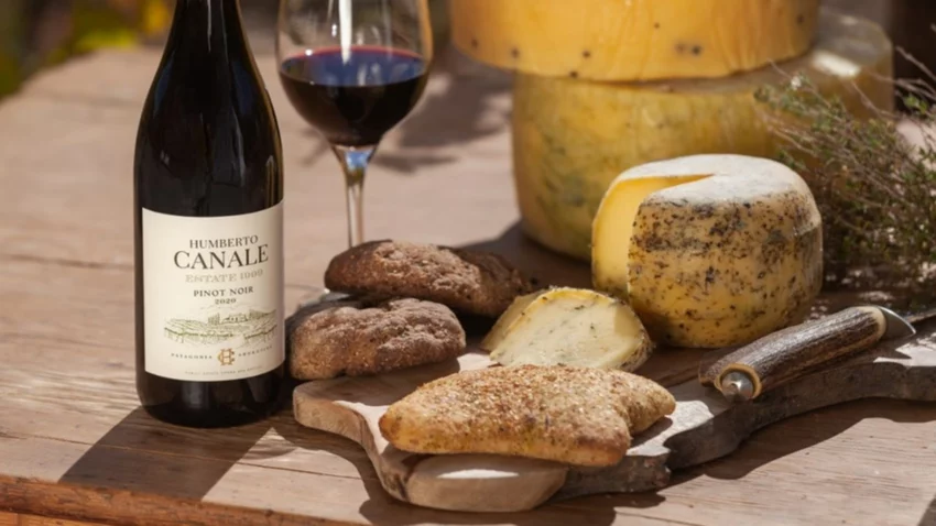 El nuevo Pinot Noir que promete posicionar a la Patagonia en el mundo