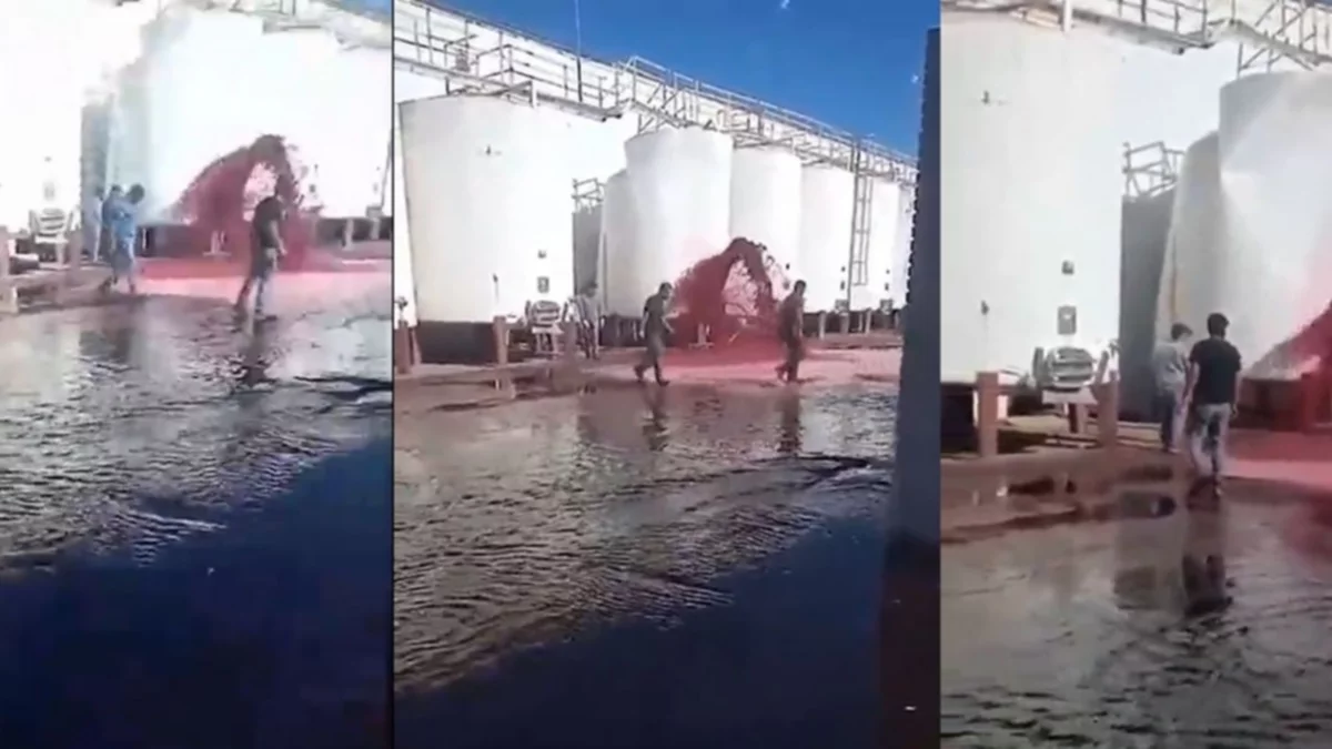 Se perdieron 15 mil litros de vino por un tornillo mal ajustado