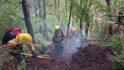 Peligra la situación laboral de brigadistas del Parque Lanín