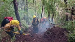 Peligra la situación laboral de brigadistas del Parque Lanín