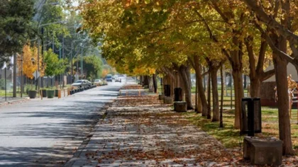 Pronóstico en Neuquén: ¿vuelve el viento?