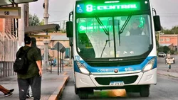 Boleto estudiantil: cómo tramitar si sos universitario o vas a un terciario