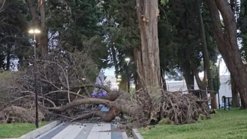 El viento arrasó con todo en Chos Malal