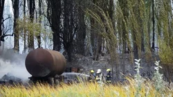 Incendio en Cinco Saltos: el fuego está controlado