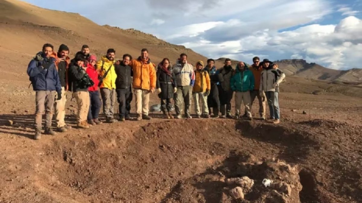 Hallan en la Patagonia mamífero que convivió con dinosaurios