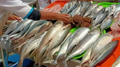 Los secretos para identificar un pescado en mal estado