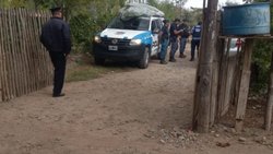 Fueron a allanar una casa y encontraron un bosque de marihuana