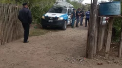 Fueron a allanar una casa y encontraron un bosque de marihuana