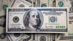 El dólar oficial alcanzó los $1.000 y estableció un nuevo récord