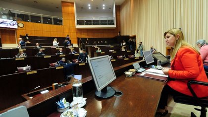 Presentan proyecto para adherir a ley de violencia digital contra las mujeres