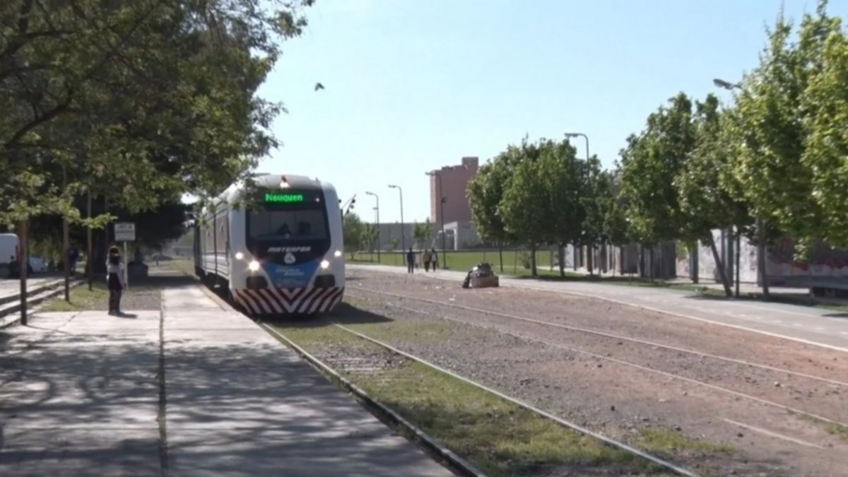 Apedrearon el Tren del Valle y quedó fuera de servicio