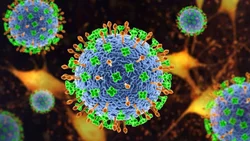 Qué es y cuáles son los síntomas de la influenza B, el virus que mató a la egresada de 13 años
