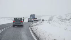 Emitieron una alerta amarilla por nevadas en Neuquén y Río Negro