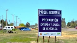 Hallaron una mandíbula y un cráneo en un Parque Industrial