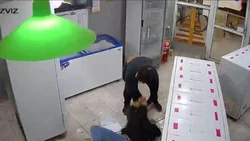 Video: Violento asalto a una heladería en el oeste de Neuquén