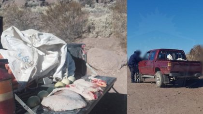 Sorprenden a cazadores furtivos en Neuquén