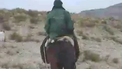 Video: el temporal de viento visto desde el caballo de un criancero