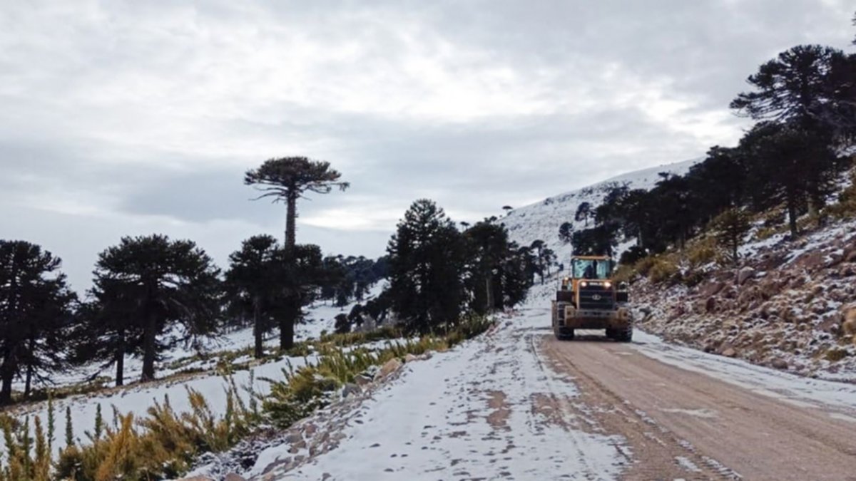 Alerta de nieve y lluvia: piden transitar con precaución en las rutas