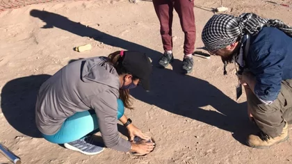 Increíble hallazgo: encontraron gigantesco nido de aves del Cretácico