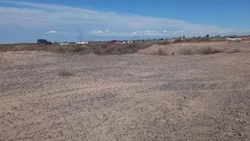 Macabro hallazgo en Cinco Saltos: encontraron un cuerpo en un descampado