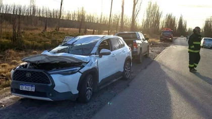 Por el viento se cayó un árbol sobre una camioneta: dos mujeres heridas