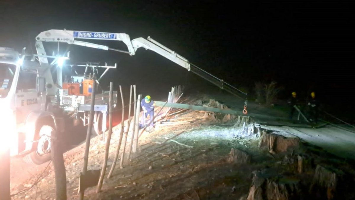 Temporal de viento: hubo caída de árboles, cortes de luz e incendios