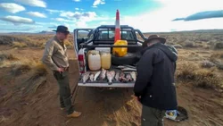Cazadores ilegales llevaban cabezas de animales y cuero de puma