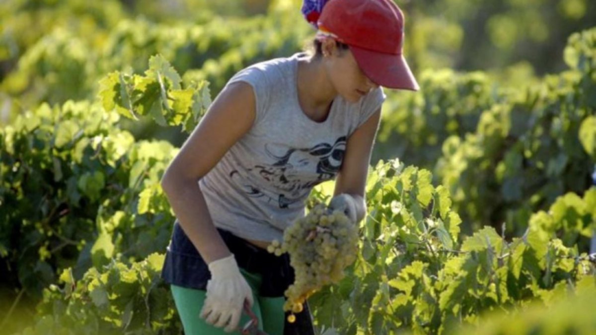 Concurso neuquino busca "mujeres rurales"