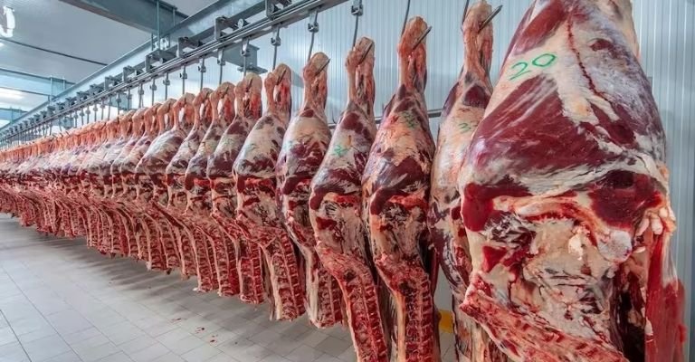 Destacan una fuerte caída de consumo de carne vacuna- Destacan una fuerte caída de consumo de carne vacuna