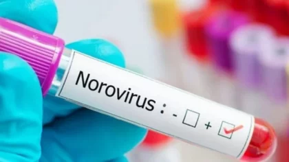 Qué es el "norovirus": síntomas y cómo se contagia