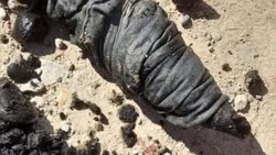 Sabotaje a la red de cloacas: cuántos millones cuesta por día