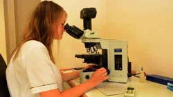 Neuquén tendrá nuevos especialistas en el Sistema Público de Salud