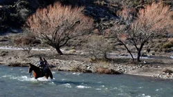 Para no cruzar el río, abandonan el paraje: cómo es vivir sin un colegio cerca en Neuquén