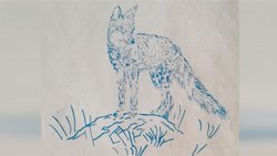 Pumas y zorros: Historia animal en el desierto pre argentino