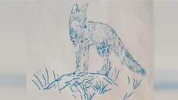 Pumas y zorros: Historia animal en el desierto pre argentino